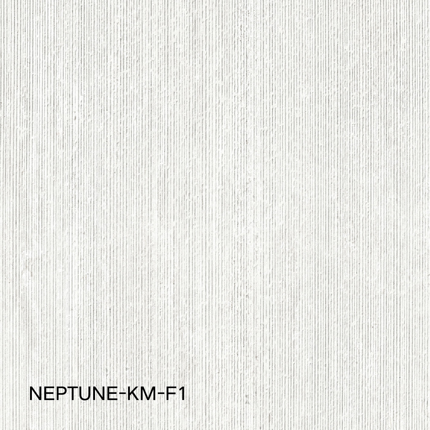 NEPTUNE-KM-F1 6120